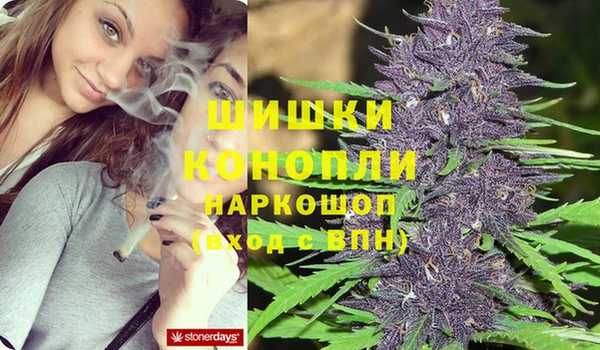 дживик Бугульма