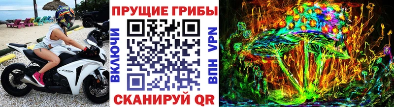 Галлюциногенные грибы Psilocybe  Электрогорск 